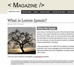 magazine website template